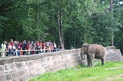 [Foto im Tiergarten]