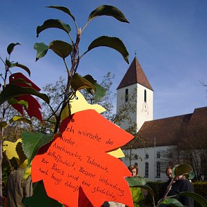 Foto vom Apfelbäumchen