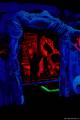 3d-minigolf-2015_013