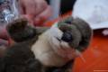 pfarrfest2014_021