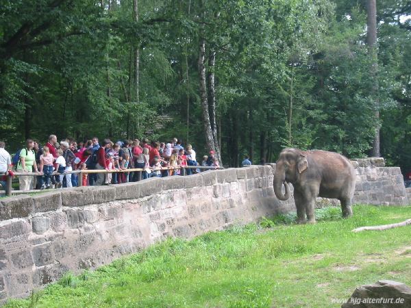 Besuch im Nürnberger Tiergarten. Unter den Besuchern am Elefantengehege sind auch einige unserer Weltjugendtags-Gäste