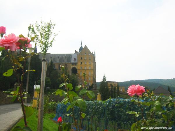 Das Kloster Calvarienberg, im Vordergrund ein Weinberg und einige Rosen