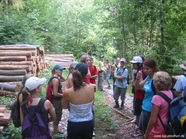 Der Weg der Tageswanderung führt durch den Wald, vorbei an einem Holzstoß